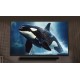 Televisor Led 139.70cm (55inch) (t) 55ua73003la 4k Ai Smart Televisor 2025 Uhd W