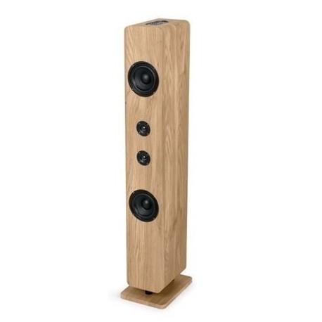 Torre De Sonido Ds702 120w 2 Canales Bt Madera/negro